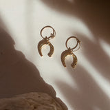 Lucky Horseshoe Hoops